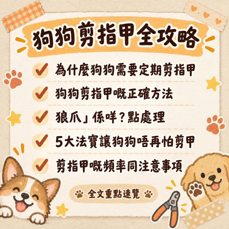 狗狗剪指甲全攻略｜PetChill 圖卡整理
