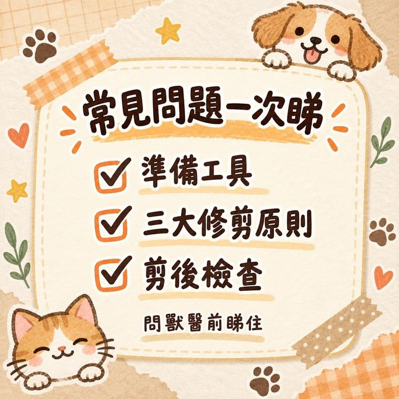 常見問題一次睇｜PetChill 圖卡整理