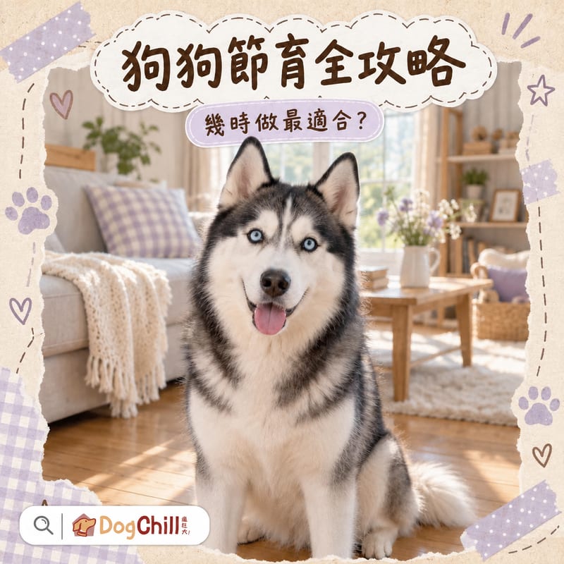 狗狗節育全攻略｜幾時做最適合？5大好處＋術後護理一次睇清