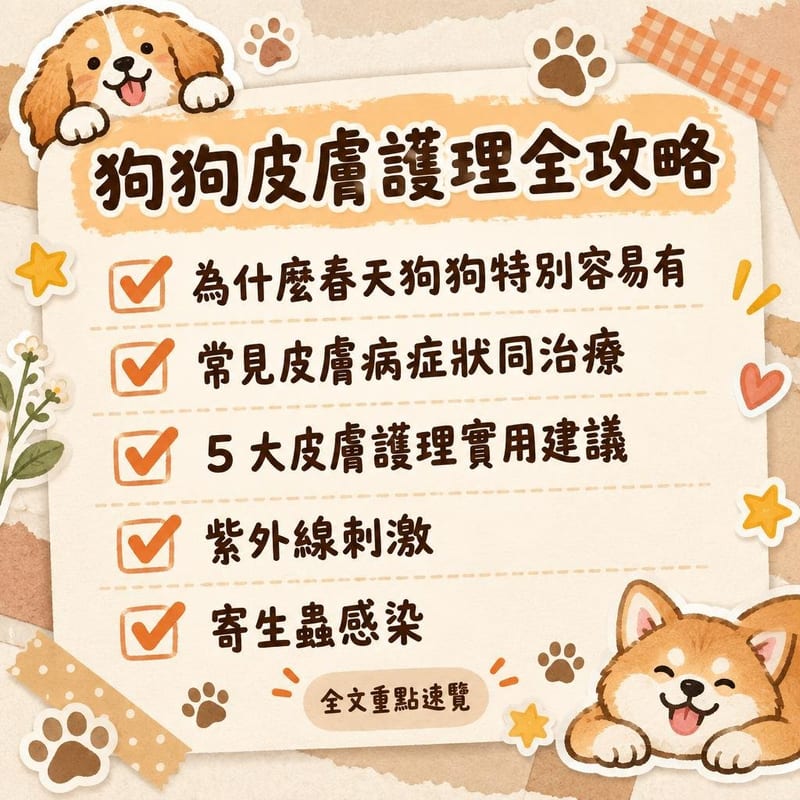 狗狗皮膚護理全攻略|PetChill 圖卡整理