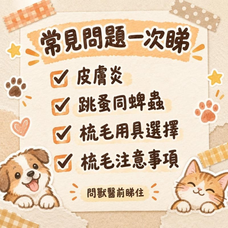 常見問題一次睇|PetChill 圖卡整理