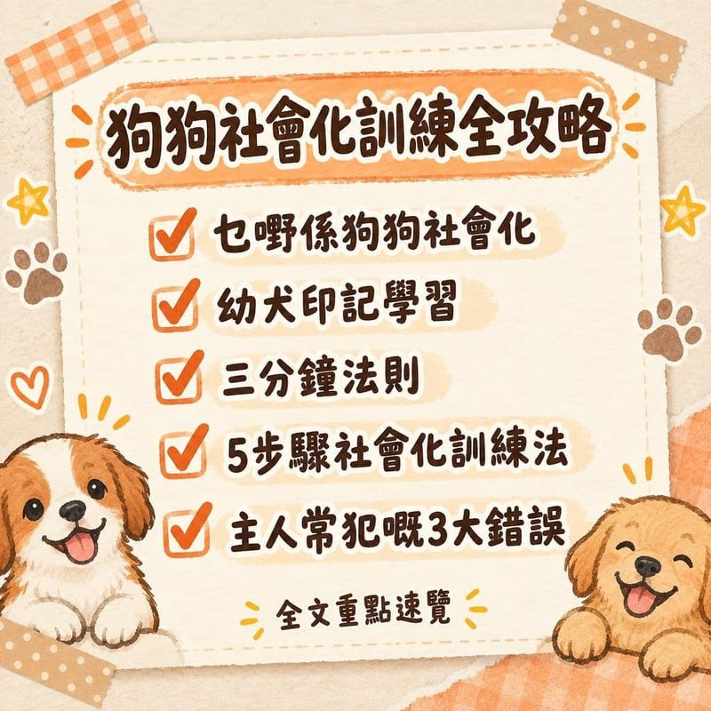 狗狗社會化訓練全攻略|PetChill 圖卡整理