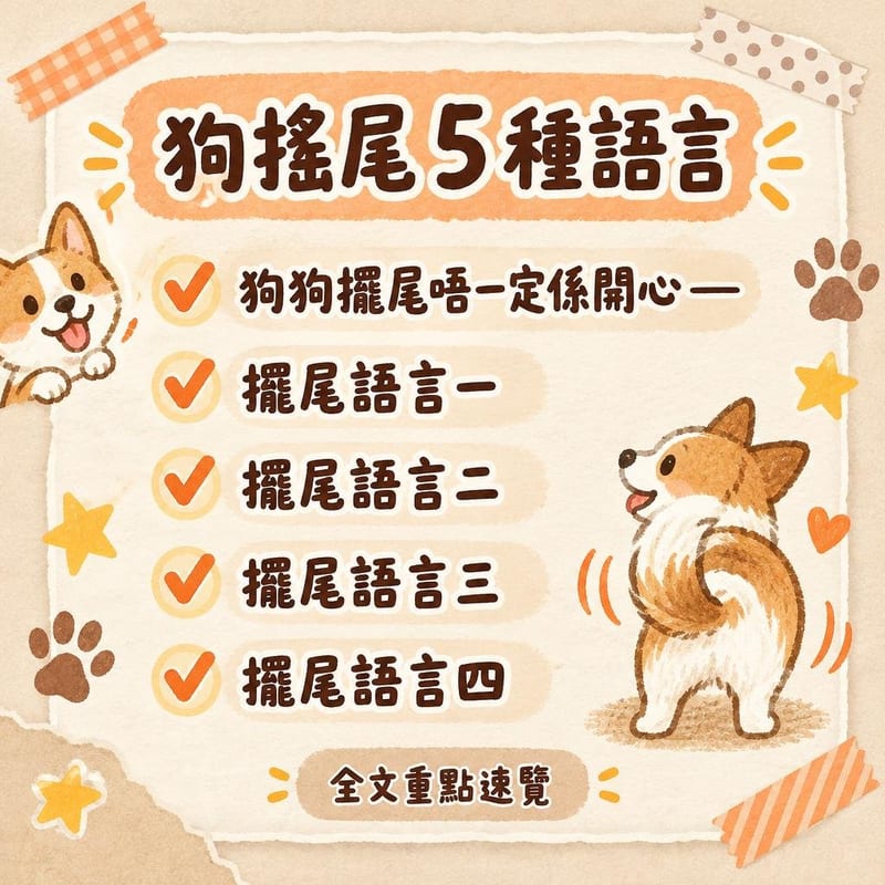 狗搖尾 5 種語言|PetChill 圖卡整理