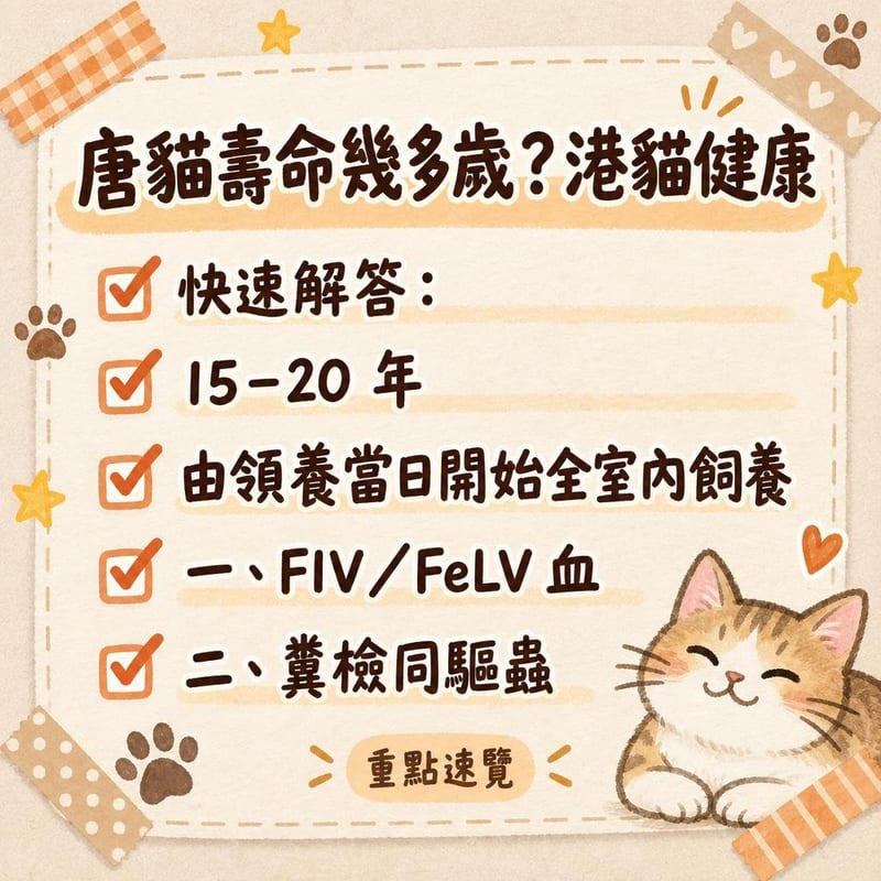 獸醫為一隻領養回來嘅虎斑唐貓做身體檢查，主人喺隔籬陪伴