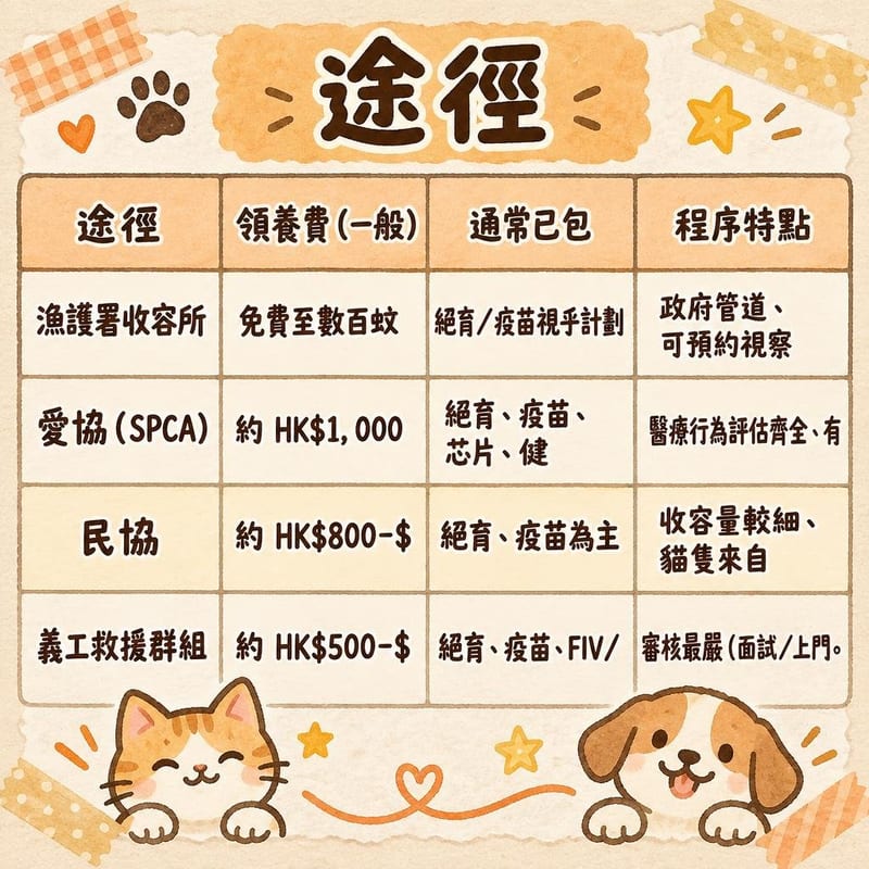 domestic-cat-price-adopt-hk 知識圖卡1