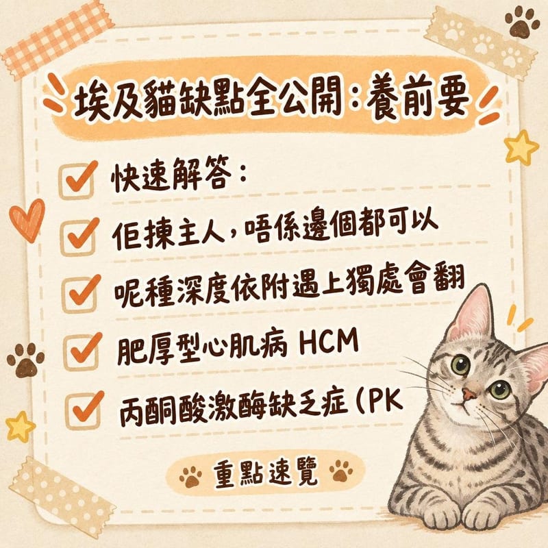 香港公寓內，一隻銀色斑點埃及貓由貓爬架頂層俯衝落嚟，四肢伸展