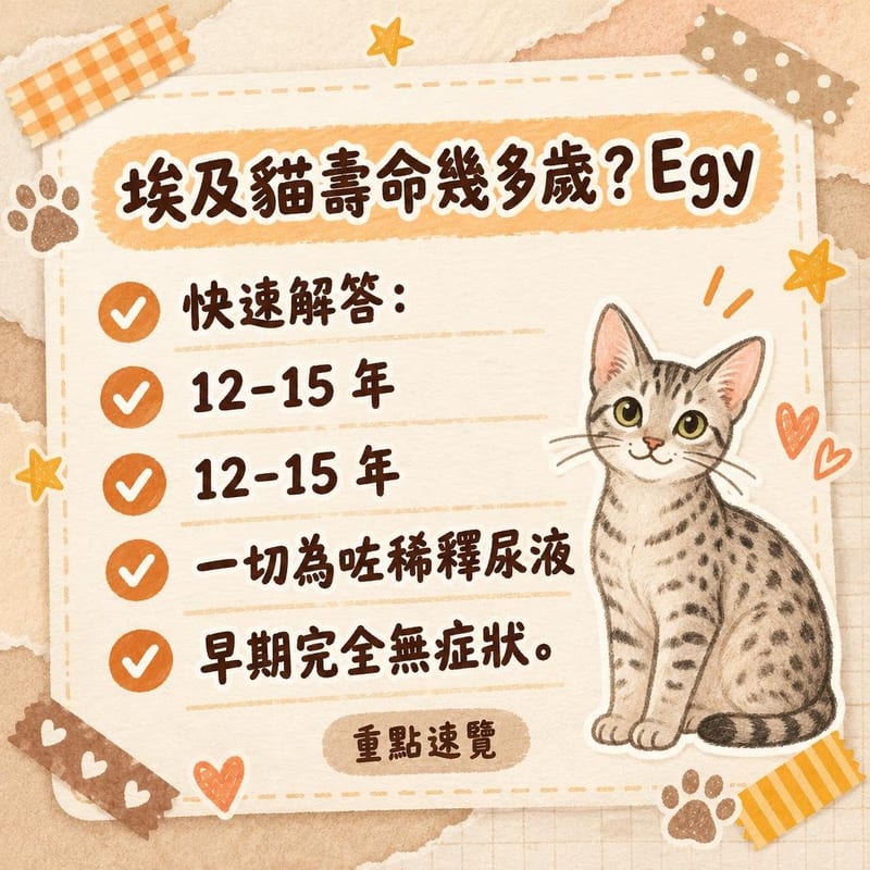 獸醫向貓主人展示尿液顯微鏡檢查結果,枱上放住一罐濕貓糧