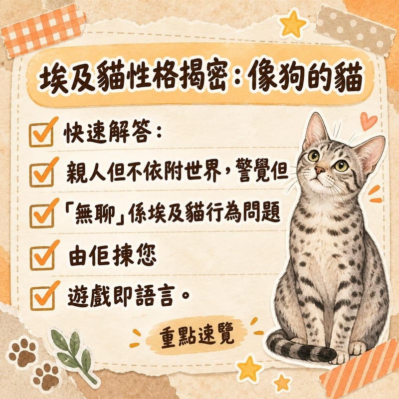 主人用逗貓棒同埃及貓玩耍,貓半空轉身撲向玩具,斑點毛色清晰可見