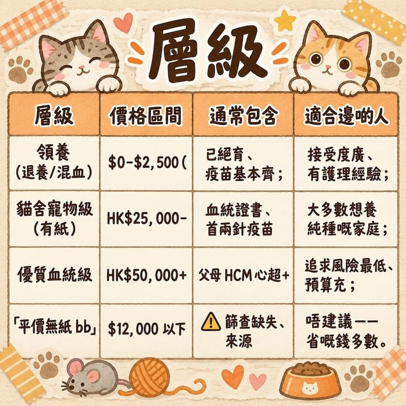 egyptian-mau-price-adopt-hk 知識圖卡1