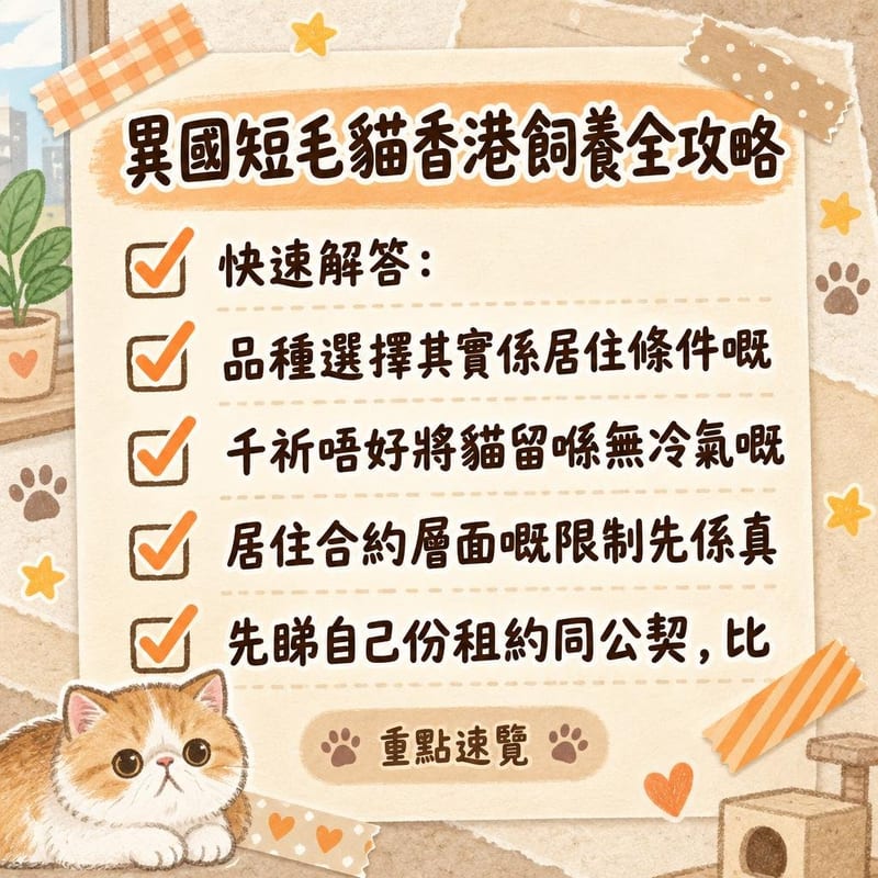 異國短毛貓喺冷氣房內趴喺地磚上消暑