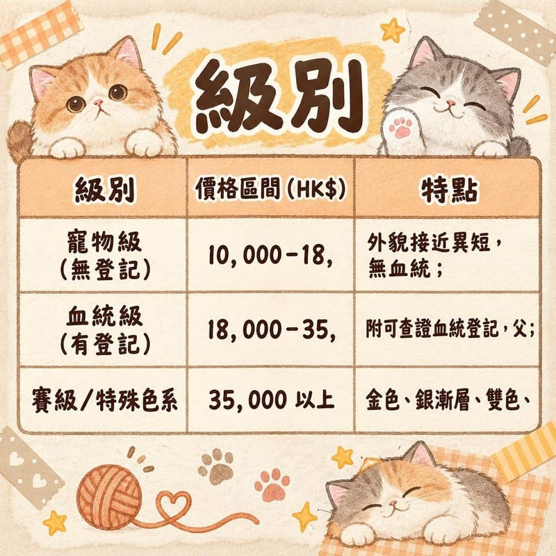 exotic-shorthair-price-adopt-hk 知識圖卡1