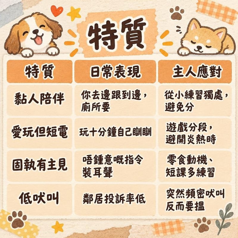 french-bulldog-personality-hk 知識圖卡1