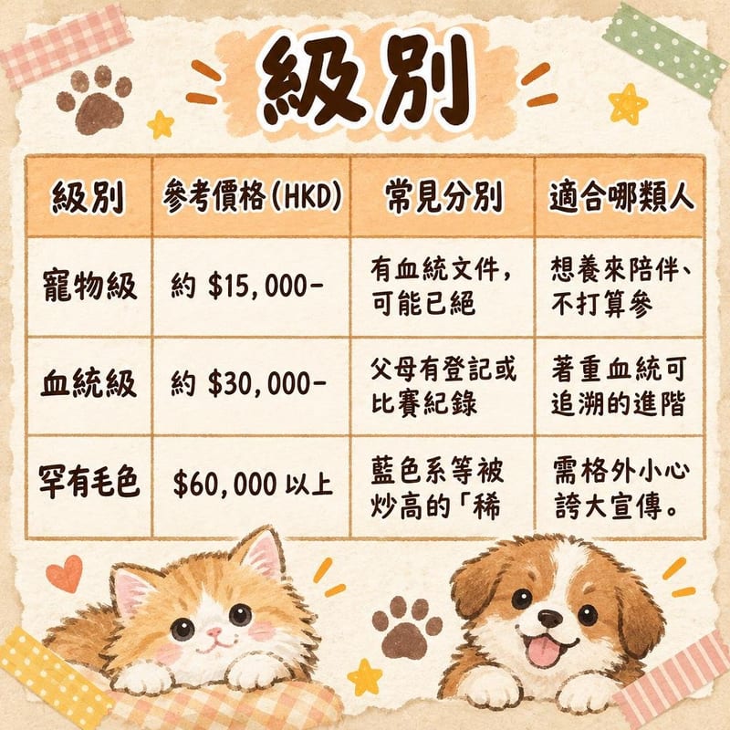 french-bulldog-price-adopt-hk 知識圖卡1