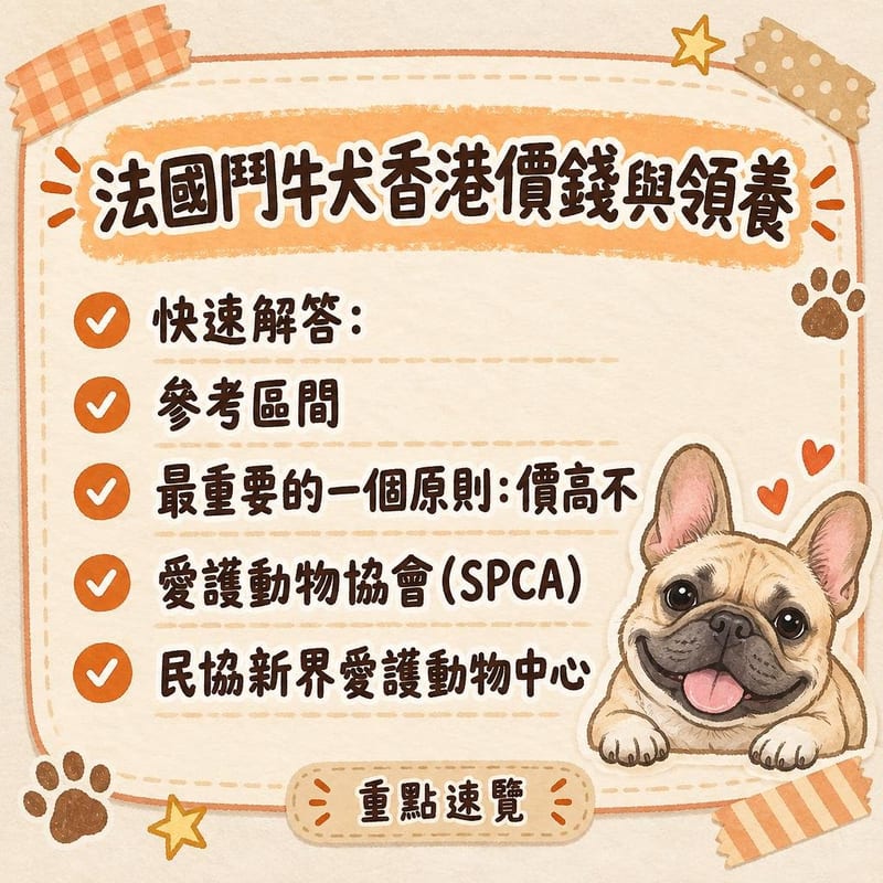 淺駝色法國鬥牛犬在香港公園草坪側躺休息,背景可見大廈天線,陽光下短毛質感清晰