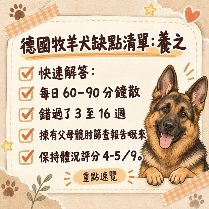 獸醫為德國牧羊犬做關節檢查,主人喺一旁對照篩查報告文件,診療室燈光柔和整潔