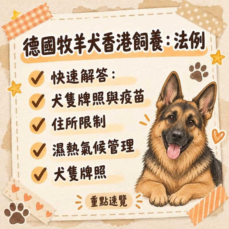 主人同德國牧羊犬喺公屋走廊外嘅草地休息，圖示尺比較犬隻肩高與公屋上限