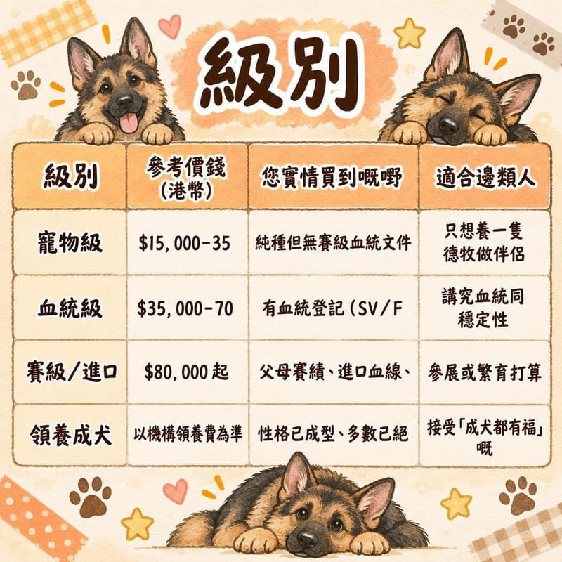 german-shepherd-price-adopt-hk 知識圖卡1