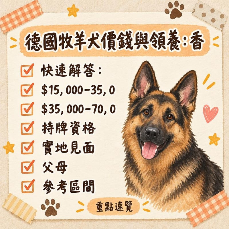 準養主喺犬舍查證，枱面攤開血統文件、疫苗手冊同查證清單，德牧幼犬喺圍欄內同母犬一齊
