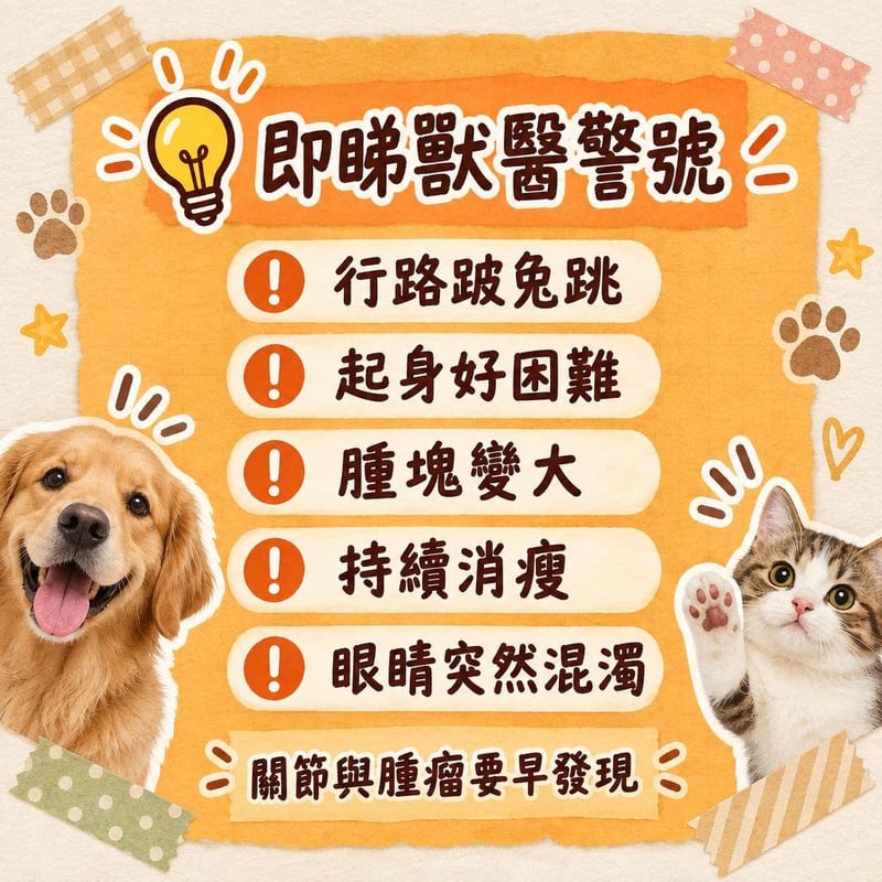 golden-retriever-guide-hk 知識圖卡2