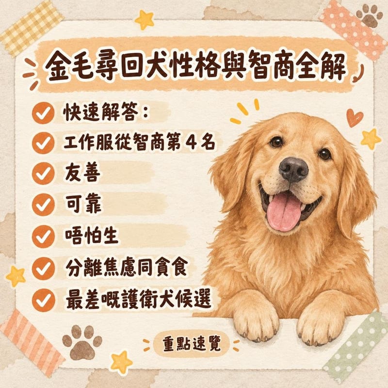 一隻金毛尋回犬同主人喺公園草坪玩尋回遊戲,口咬網球望向主人