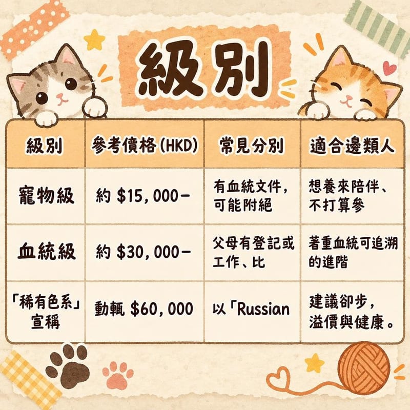 golden-retriever-price-adopt-hk 知識圖卡1