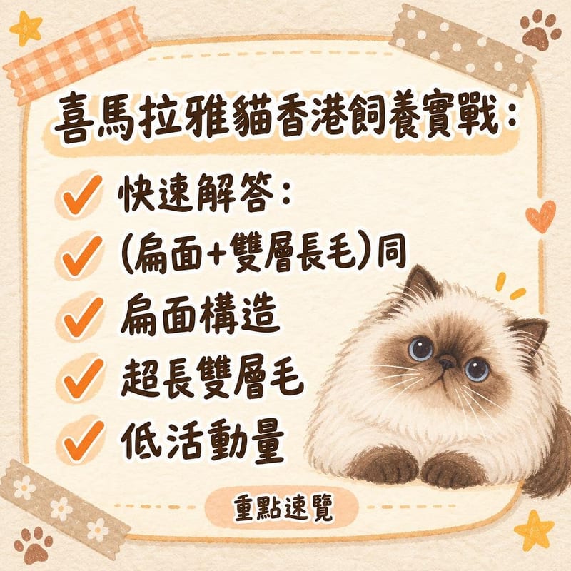 有冷氣嘅香港公寓窗邊，喜馬拉雅貓瞓喺冷感墊上，窗外係維港夜景燈光