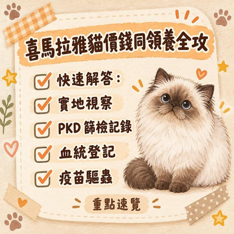 一對喜馬拉雅貓喺潔淨嘅家居繁育環境,旁邊枱面放住基因檢測文件夾同疫苗小書