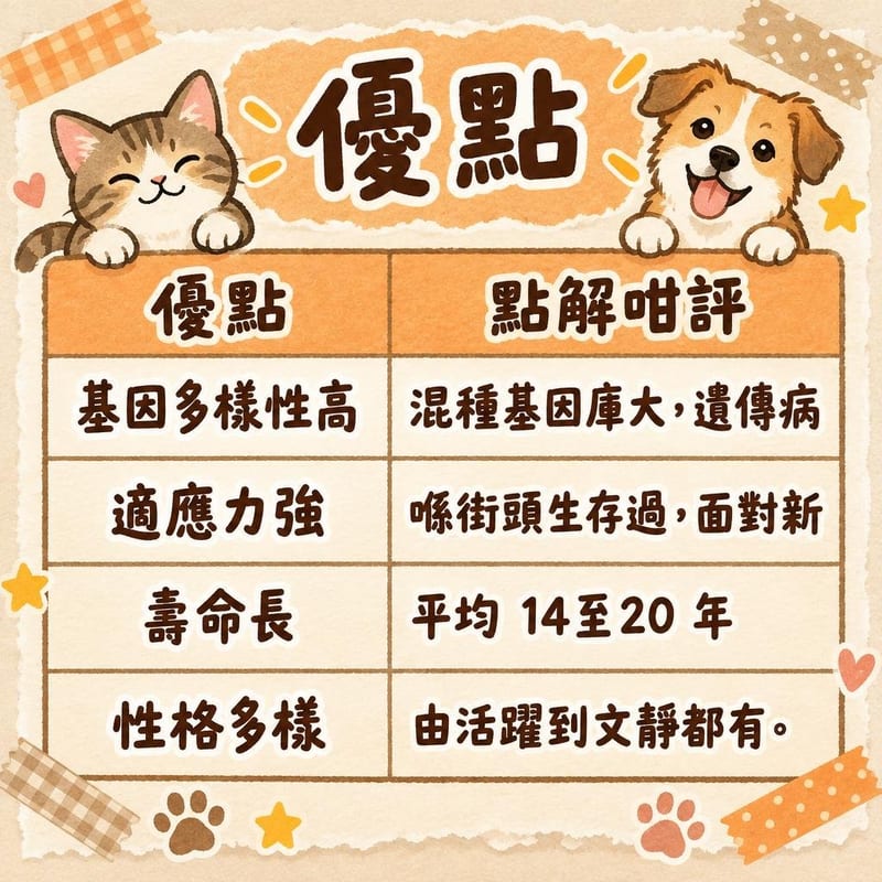 優點|PetChill 圖卡整理