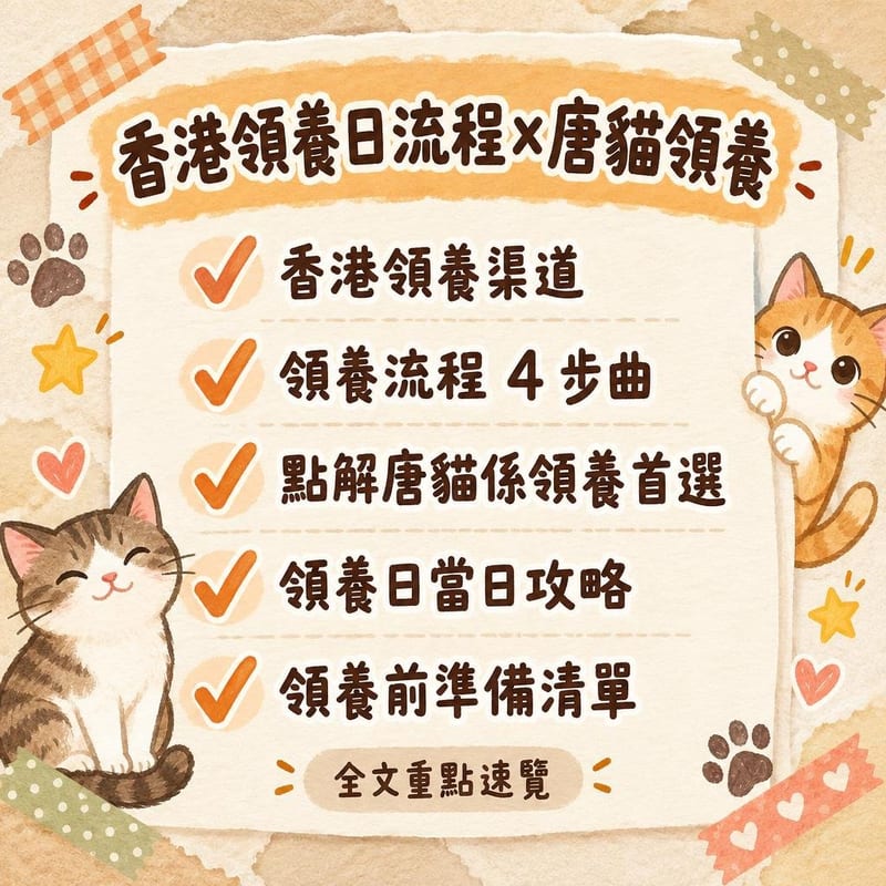 香港領養日流程×唐貓領養|PetChill 圖卡整理