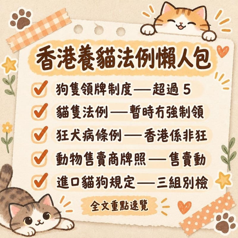 香港養貓法例懶人包|PetChill 圖卡整理