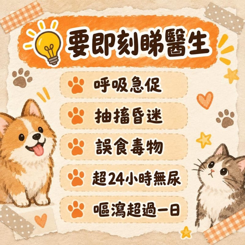 hk-pet-vet-care 知識圖卡2