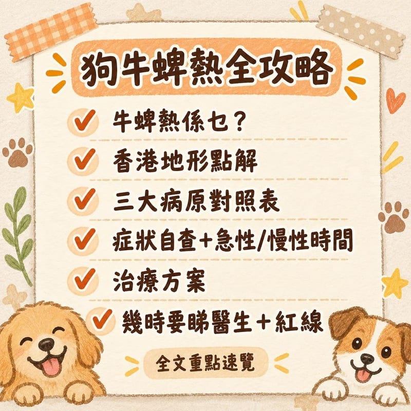 狗牛蜱熱全攻略|PetChill 圖卡整理