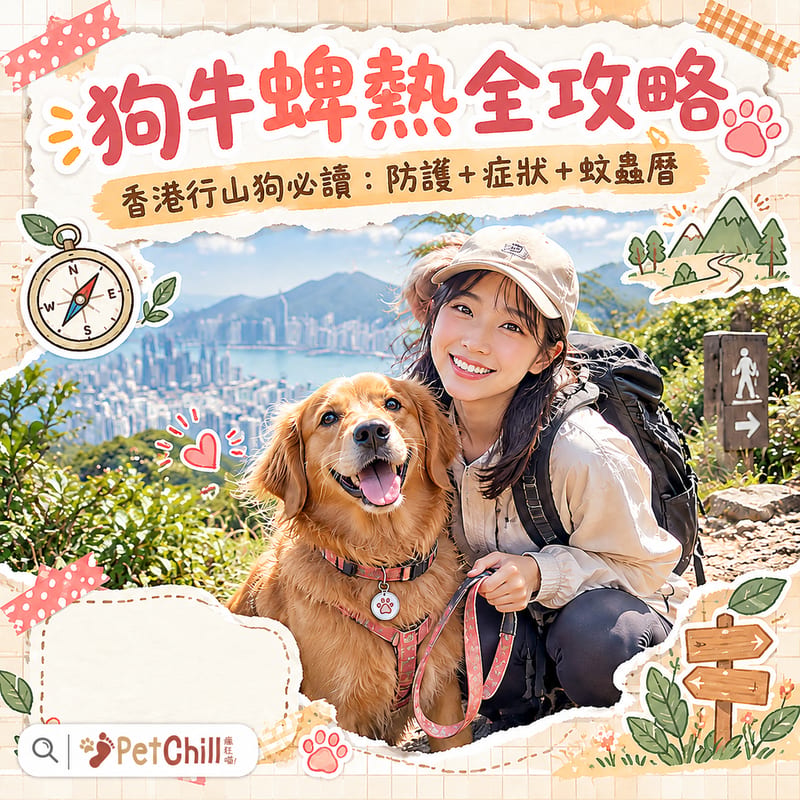 狗牛蜱熱全攻略|香港行山狗必讀:牛蜱帶原病表+行山防護 SOP+蚊蟲曆