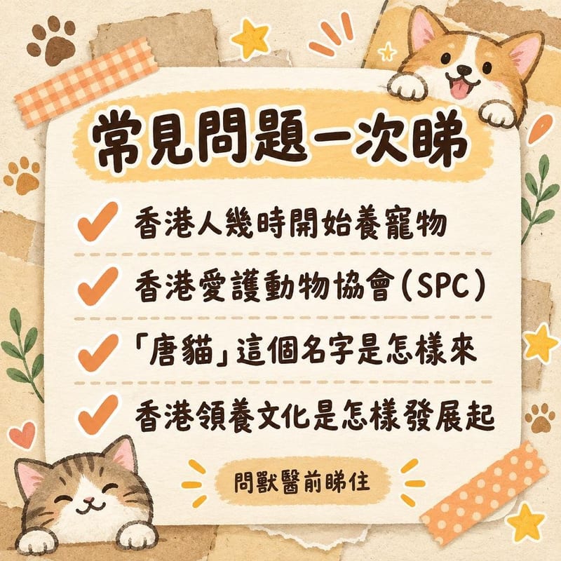 hong-kong-pet-history-overview 重點整理圖卡 2