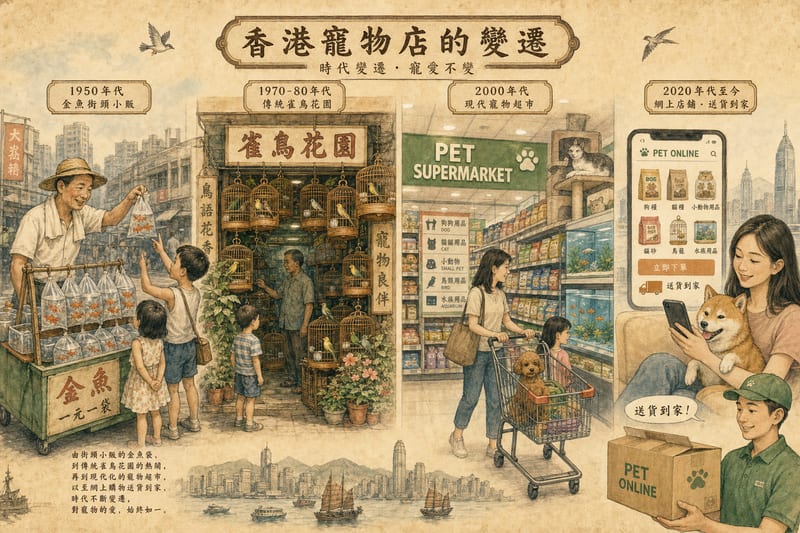 香港寵物店發展史|雀仔街、金魚街到寵物超市