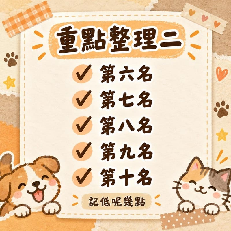 重點整理二|PetChill 圖卡整理