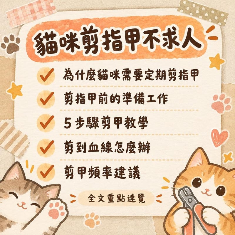 貓咪剪指甲不求人｜PetChill 圖卡整理