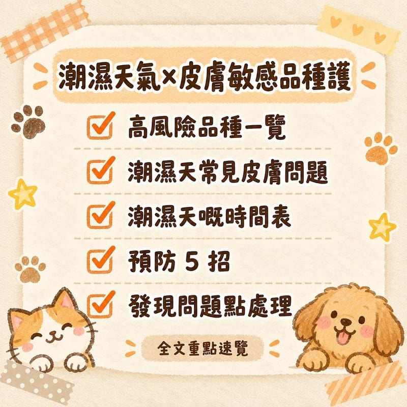 潮濕天氣×皮膚敏感品種護|PetChill 圖卡整理