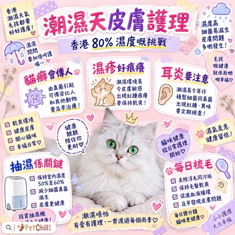 潮濕天氣×皮膚敏感品種護理|香港 80% 濕度下嘅皮膚保衛戰