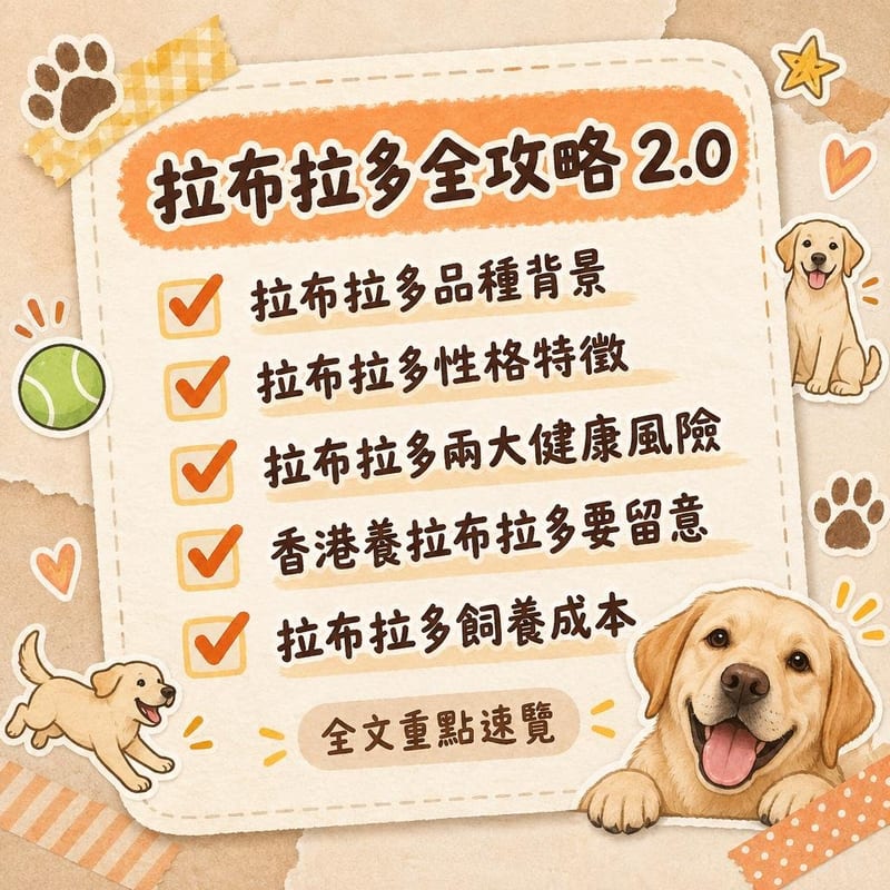 拉布拉多全攻略 2.0|PetChill 圖卡整理