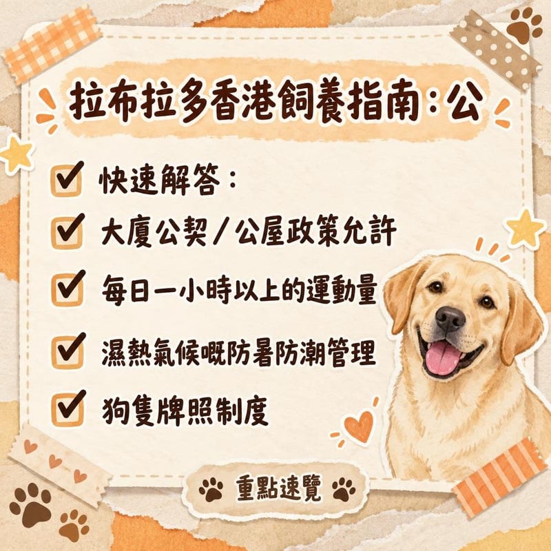 一隻拉布拉多喺維多利亞公園的早晨散步，主人用胸背帶牽引，草叢間有球同水樽