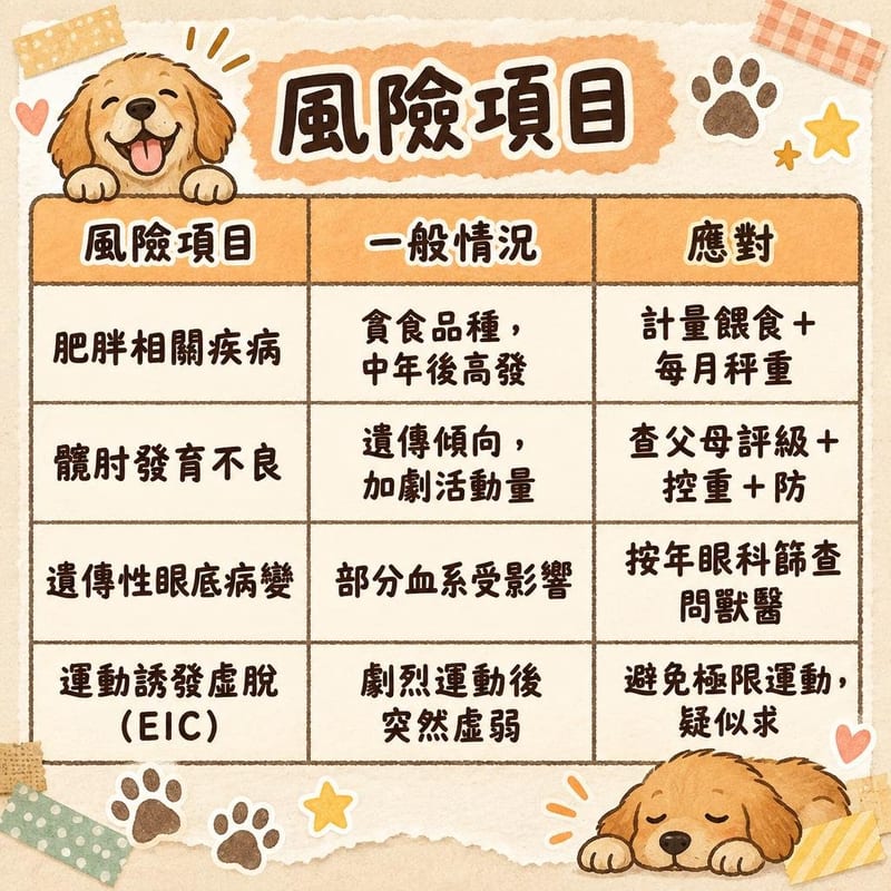 labrador-lifespan-hk 知識圖卡1
