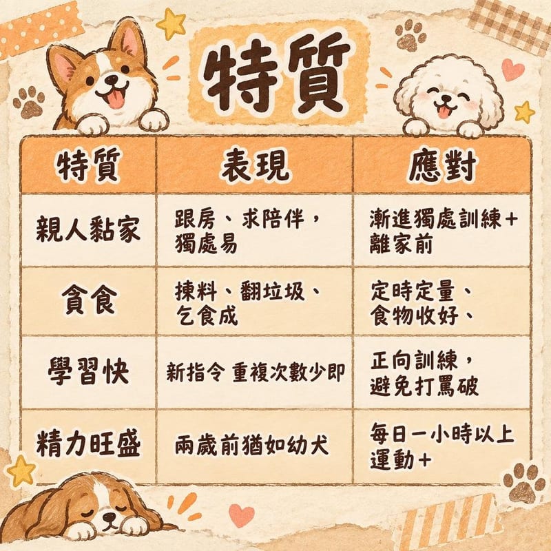 labrador-personality-hk 知識圖卡1