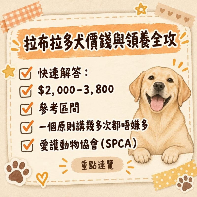 一隻黑色拉布拉多同一隻黃色拉布拉多並排坐喺公園草地，途人可以近距離觀察比較