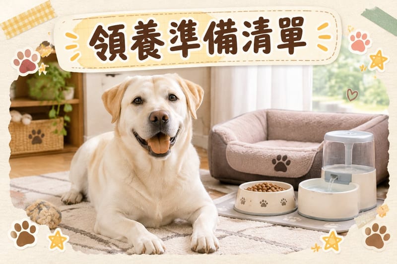 一位主人喺香港居所客廳為拉布拉多檢查體況，旁有食量計量表同每月開支記錄