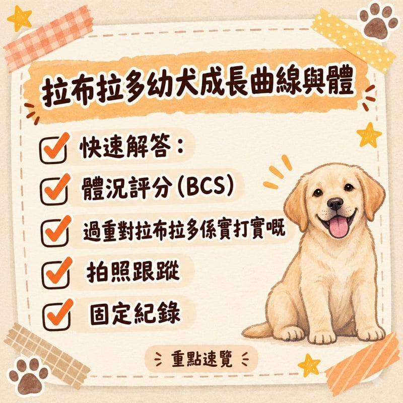 寵物秤上嘅三個月大拉布拉多幼犬,主人記錄每月體重喺手帳上,背景係家居地板
