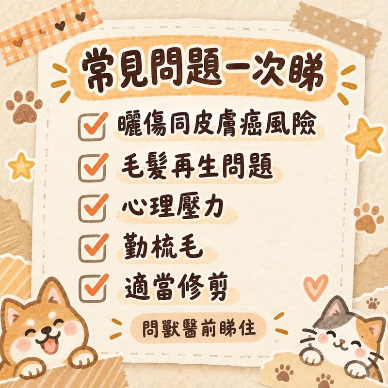 常見問題一次睇｜PetChill 圖卡整理