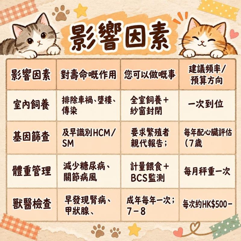 maine-coon-lifespan-hk 知識圖卡1