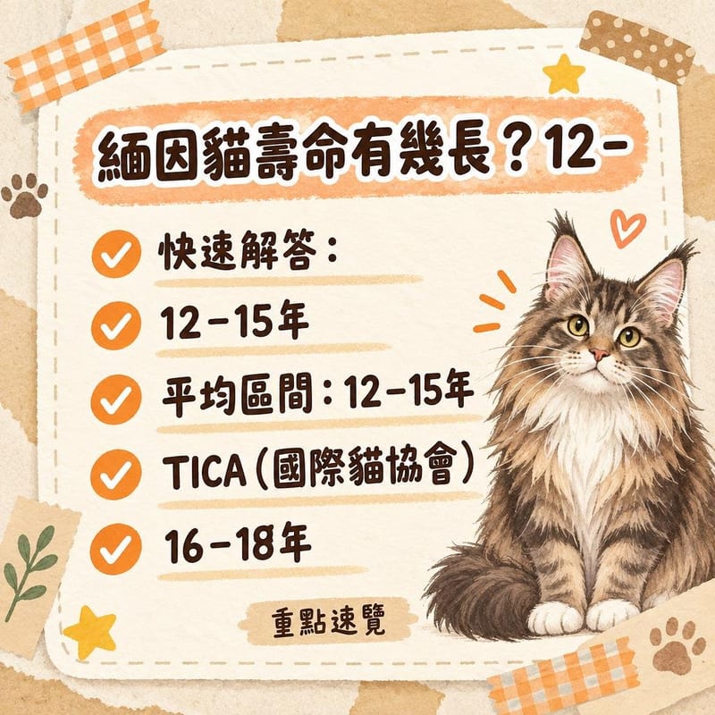 室內飼養嘅緬因貓在封閉窗臺旁休息,展示安全家居環境