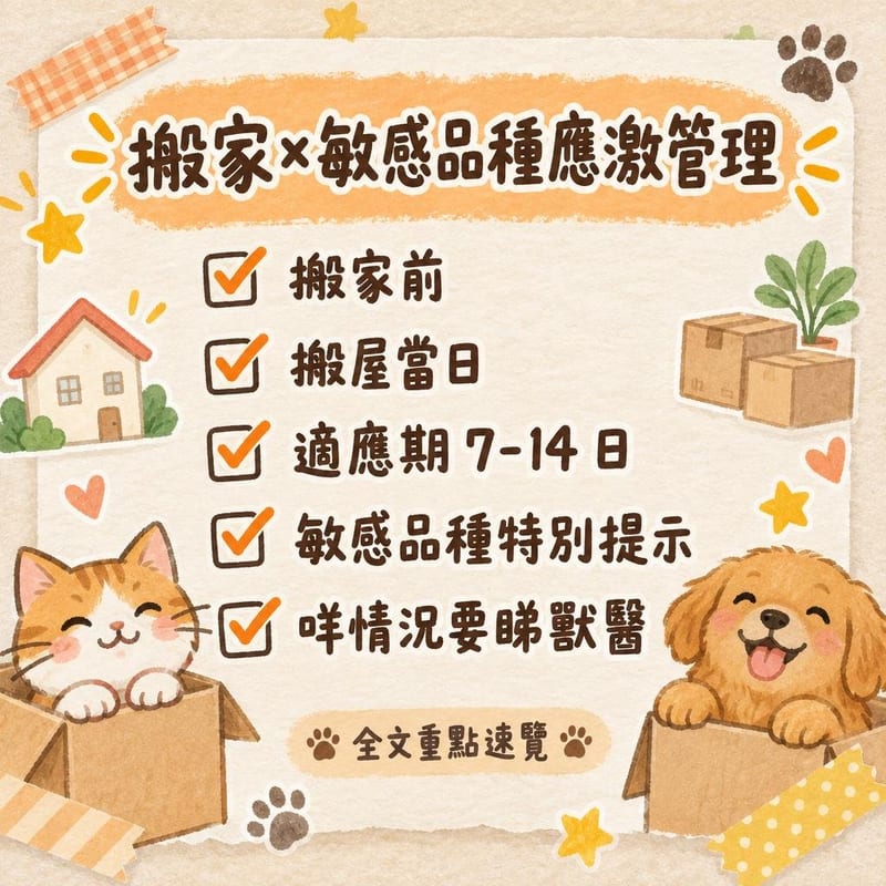 搬家×敏感品種應激管理|PetChill 圖卡整理